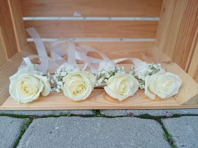 Smetanovo-bílá : družičky